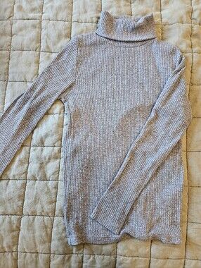 Banana Republic Ribbed Turtleneck Sweater